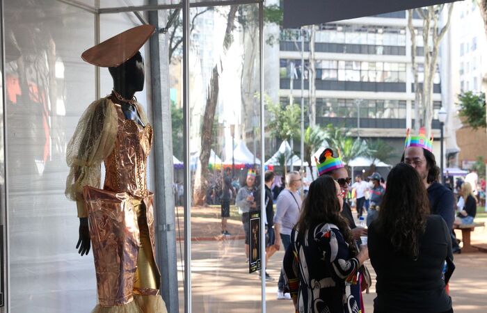 (Foto: Rovena Rosa/Agência Brasil) (Foto: Rovena Rosa/Agência Brasil)