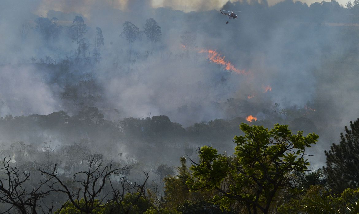 (Foto: 18.09.2014/Valter Campanato/Agência Brasil) (Foto: 18.09.2014/Valter Campanato/Agência Brasil)