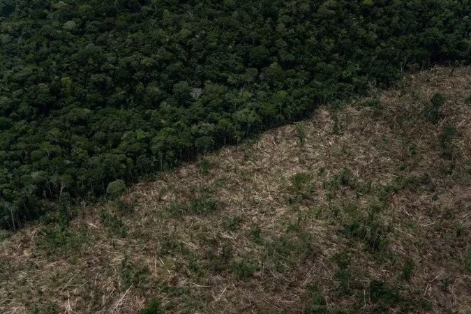  (Foto: Christian Braga / Greenpeace Brasil)