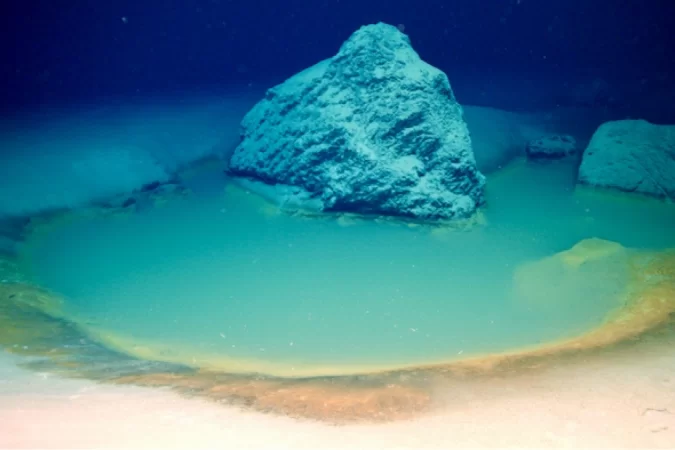 Investigadores descubren raras piscinas de salmuera en el Mar Rojo
