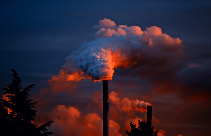 (Foto: Reprodução/Pixabay) (Foto: Reprodução/Pixabay)
