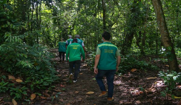 (Foto: Divulgação.) (Foto: Divulgação.)