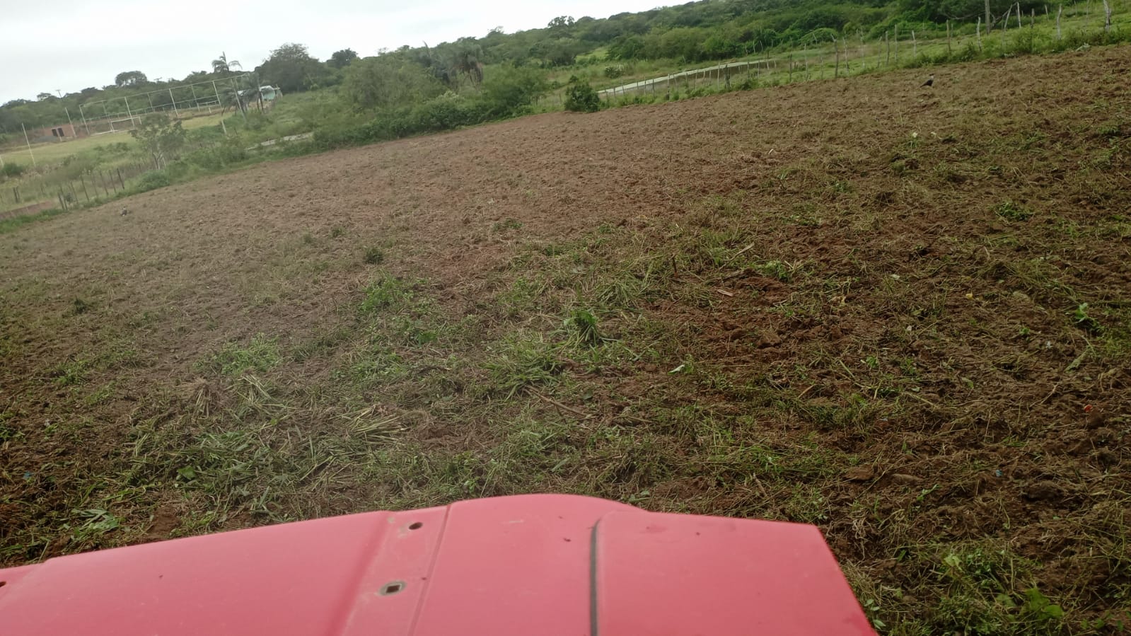
Na programao da semana esto a recuperao da estrada de Serra dos Cavalos, silagem, entre outros (Divulgao)