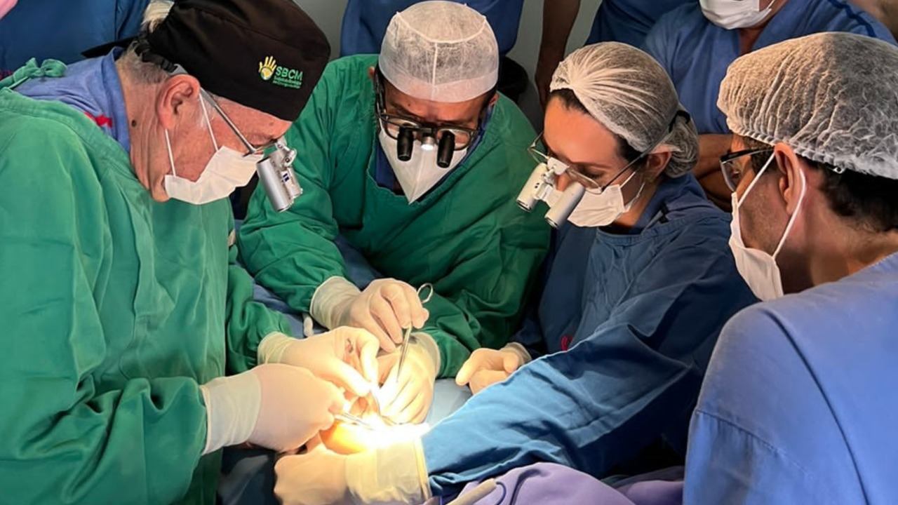  (Cirurgias acontecem com fundos arrecadados em campanha de doao criada pela ong. Foto: Divulgao)