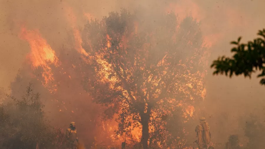 España declara zona de desastre en zonas afectadas por incendios masivos