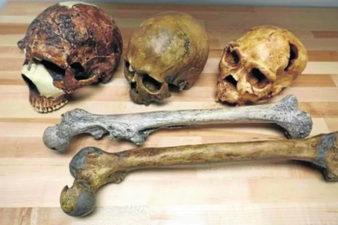 Neanderthals and Homo sapiens may co-exist for ‘only’ 2,800 years Neanderthals and Homo sapiens may co-exist for ‘only’ 2,800 years