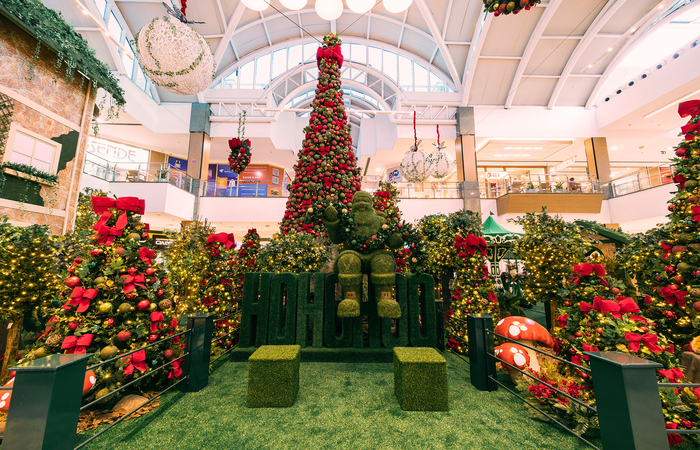 Com investimento de mais de R$ 2 milhões, Shopping Tacaruna inaugura  decoração de Natal com tema 'Floresta do Papai Noel' | Economia: Diario de  Pernambuco