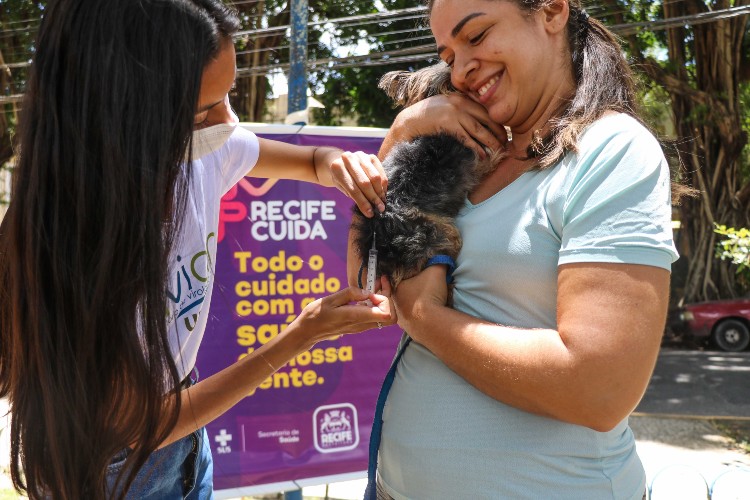  (Foto: Divulgação. )