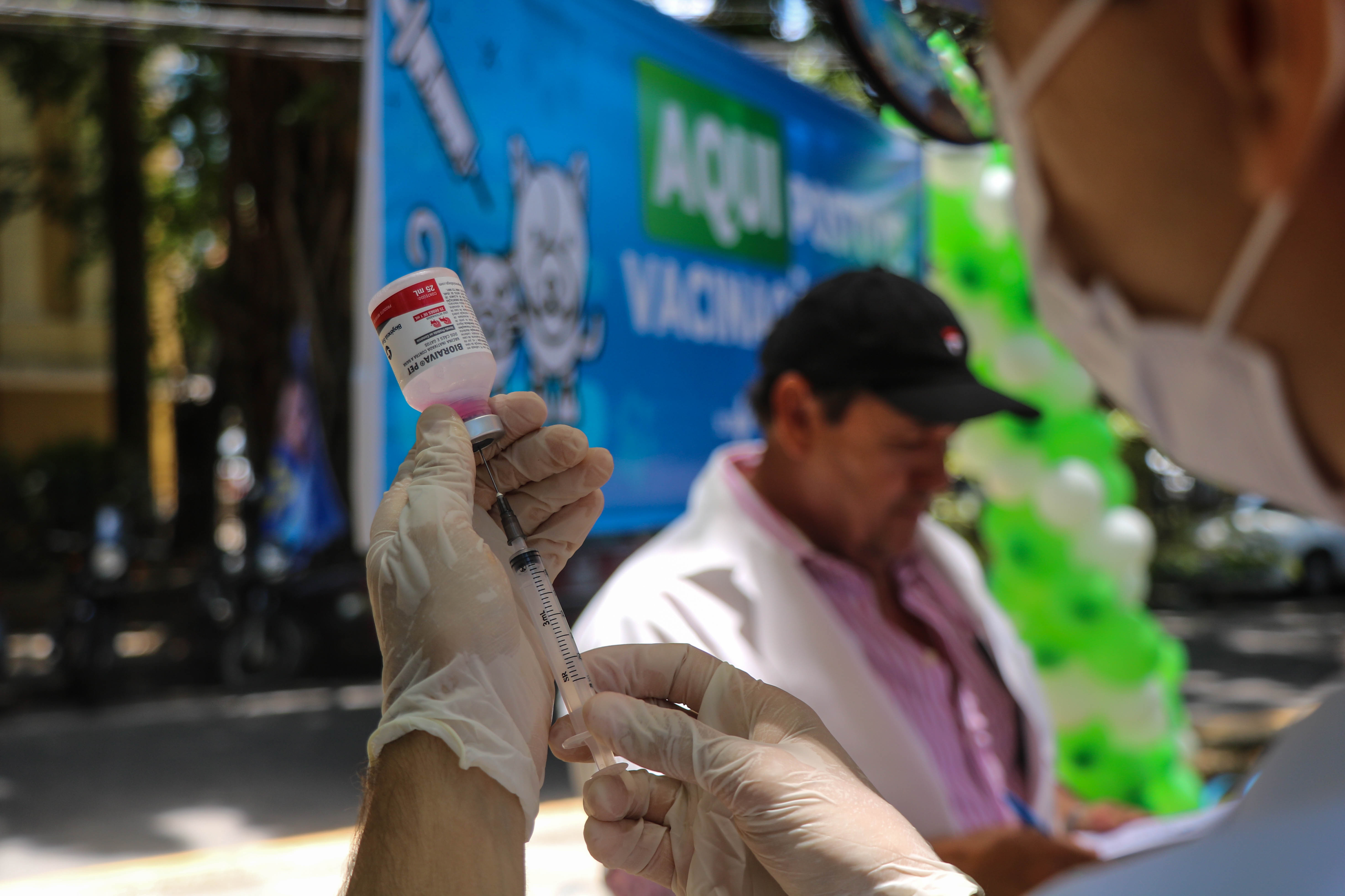Prefeitura do Recife leva vacinação antirrábica a 23 pontos neste fim ...