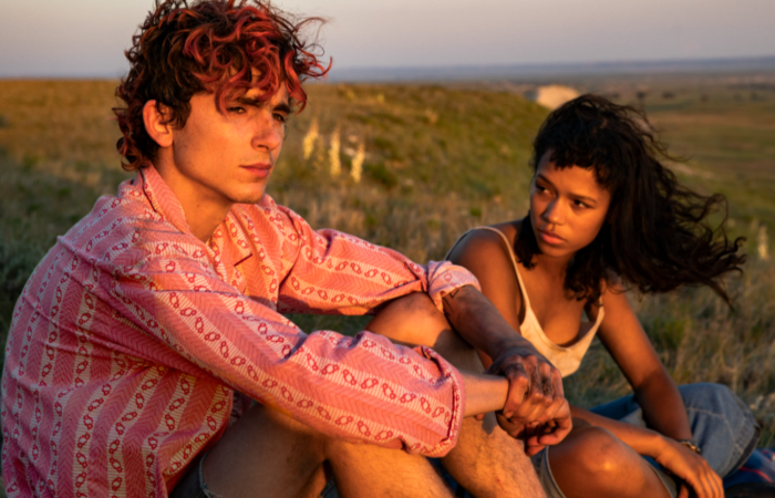  (Filme dirigido por Luca Guadagnino (Me Chame pelo Seu Nome e Suspiria) tem Timothe Chalamet e Taylor Russell nos papis principais. MGM/Divulgao.)