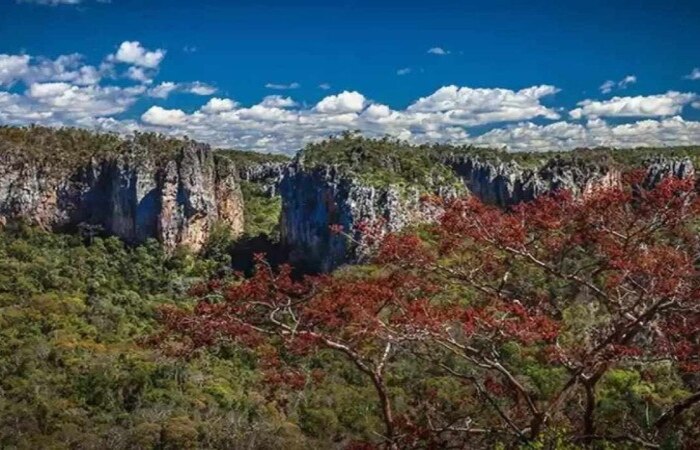 Entre os principais atrativos do parque esto Lapa do ndio; Caminho da Lapa do Boquete; Caminho da Lapa dos Desenhos; Caminho da Lapa do Rezar; e Caminhos da Lapa do Caboclo e Clcio (Crdito: Divulgao/ICMBio)