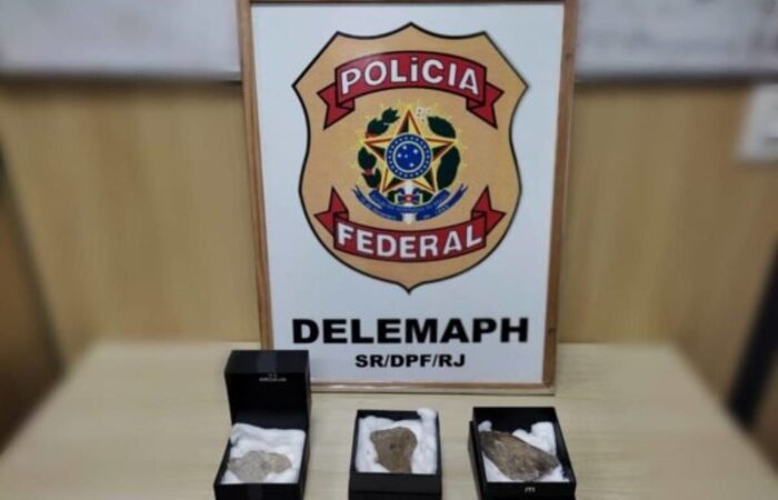 PF diz que pedras apreendidas passaro por percia tcnica (Crdito: Reproduo/Redes sociais)