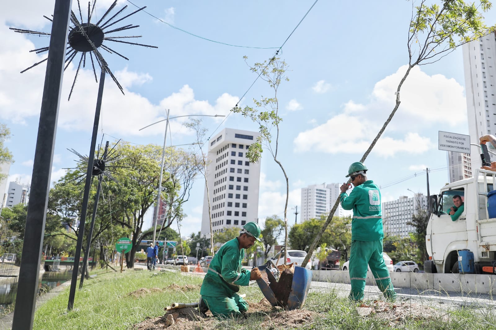 Ao todo, serão 1.200 árvores de grande porte nas principais avenidas da capital pernambucana. Agamenon Magalhães já foi contemplada com a iniciativa (Wagner Ramos / PCR)