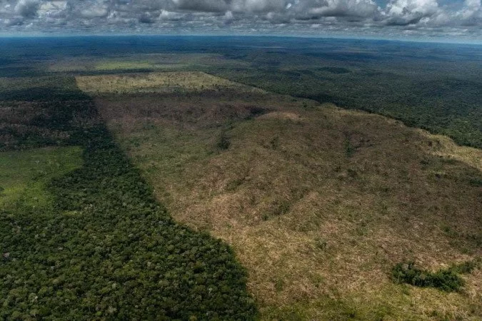 Na temporada 2020-2021, perodo que engloba agosto de 2020 a julho de 2021, foram 13 mil km de rea sob alerta de desmatamento, maior nmero desde 2006.
 (Foto: Christian Braga / Greenpeace Brasil
)