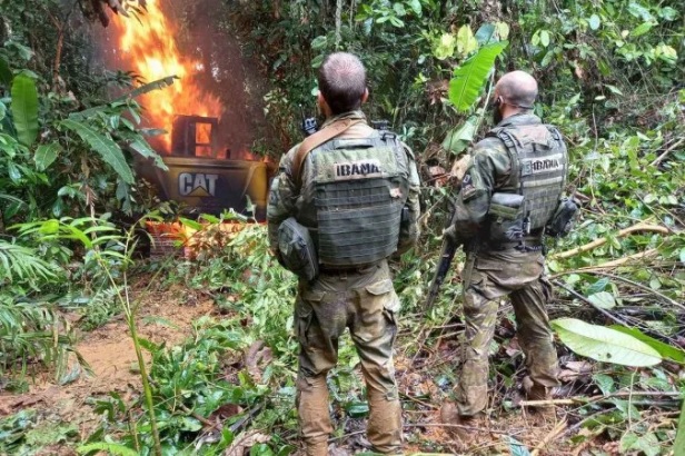 Destruição de aviões, helicópteros e equipamentos: as ações de combate ao garimpo ilegal | Brasil: Diario de Pernambuco