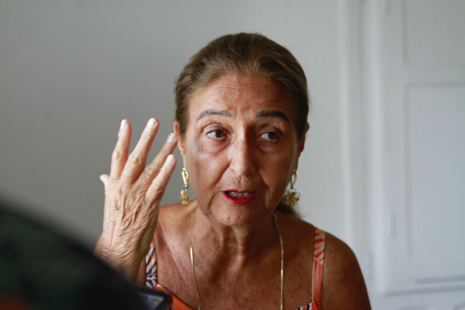 Lucia Helena Cavalcante, moradora da Rua do Bonfim, no Carmo, que aluga sua residncia h mais de 25 anos. Brincou tanto o carnaval que hoje aluga sua residncia para aproveitar carnval em um lugar mais tranquilo.  (Rmulo Chico/DP)