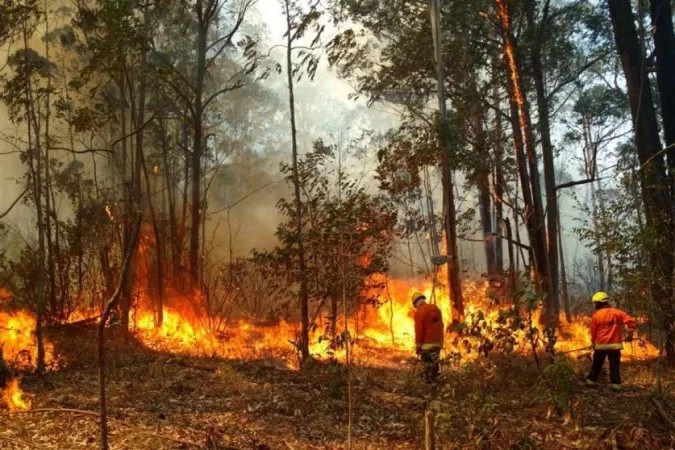  (Foto: CBMDF/Divulgação)