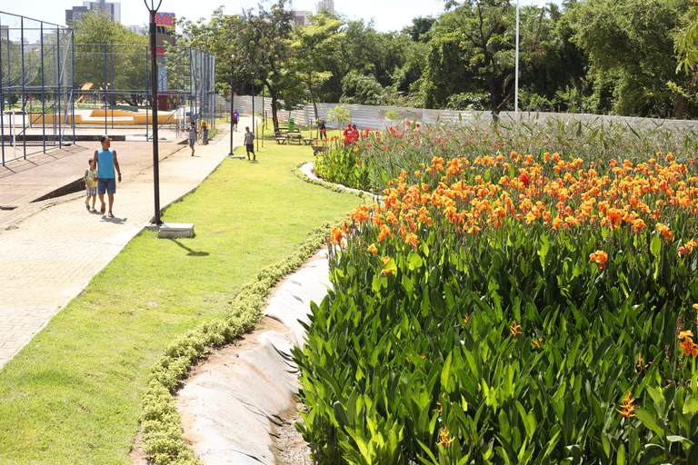 Projeto de cooperao internacional CITinova, coordenado pelo MCTI, implantou jardins filtrantes que podem melhorar a qualidade da gua em at 95%
 (Divulgao)
