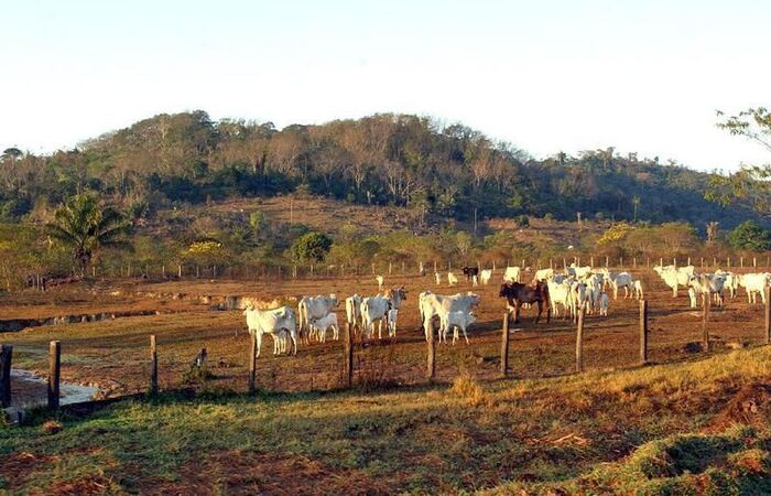  (Foto: Marcello Casal jr/Agncia Brasil)