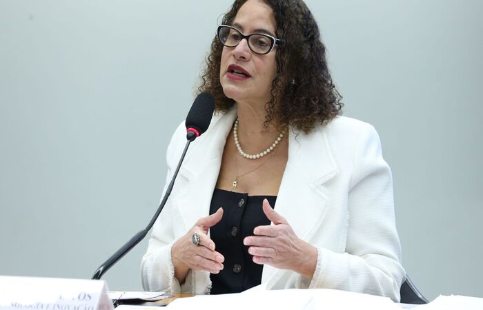 (Foto: Lula Marques/ Agência Brasil) (Foto: Lula Marques/ Agência Brasil)