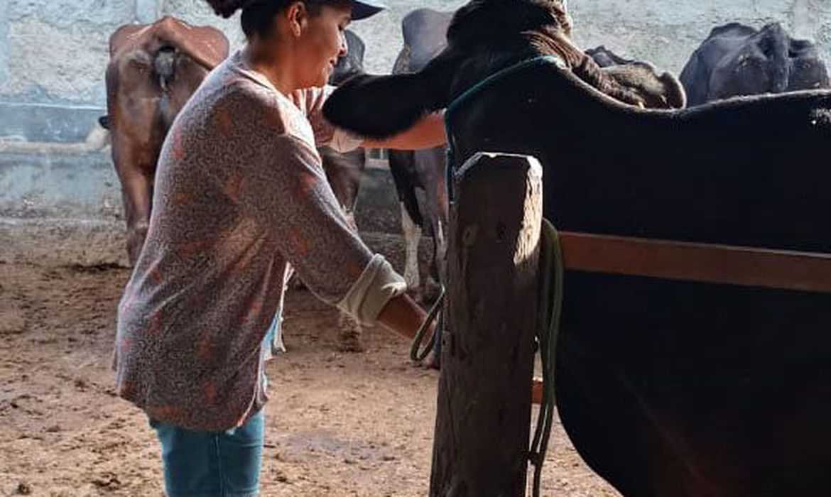  (Foto: Arquivo pessoal)