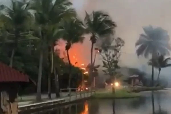Imagem colorida mostra incêndio em região cercada por árvores (Reprodução/ Redes sociais)