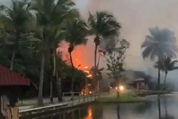 Imagem colorida mostra incndio em regio cercada por rvores (Reproduo/ Redes sociais)