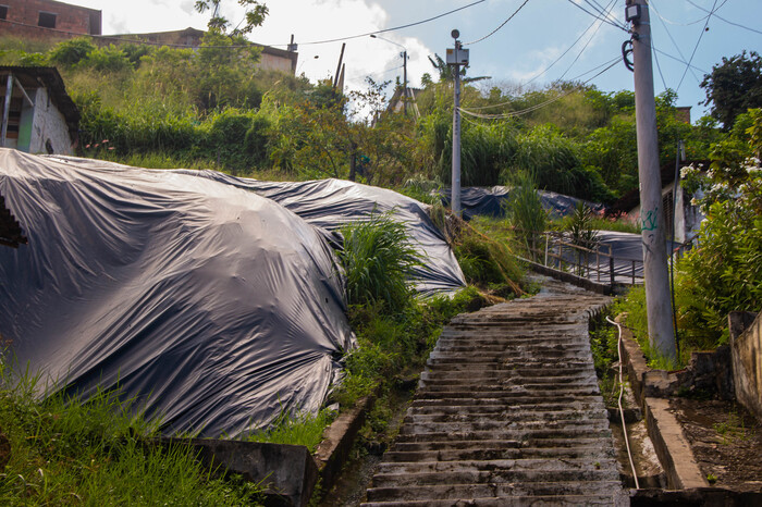  (Foto: Divulgao/Alice Mafra/ Secom Olinda)