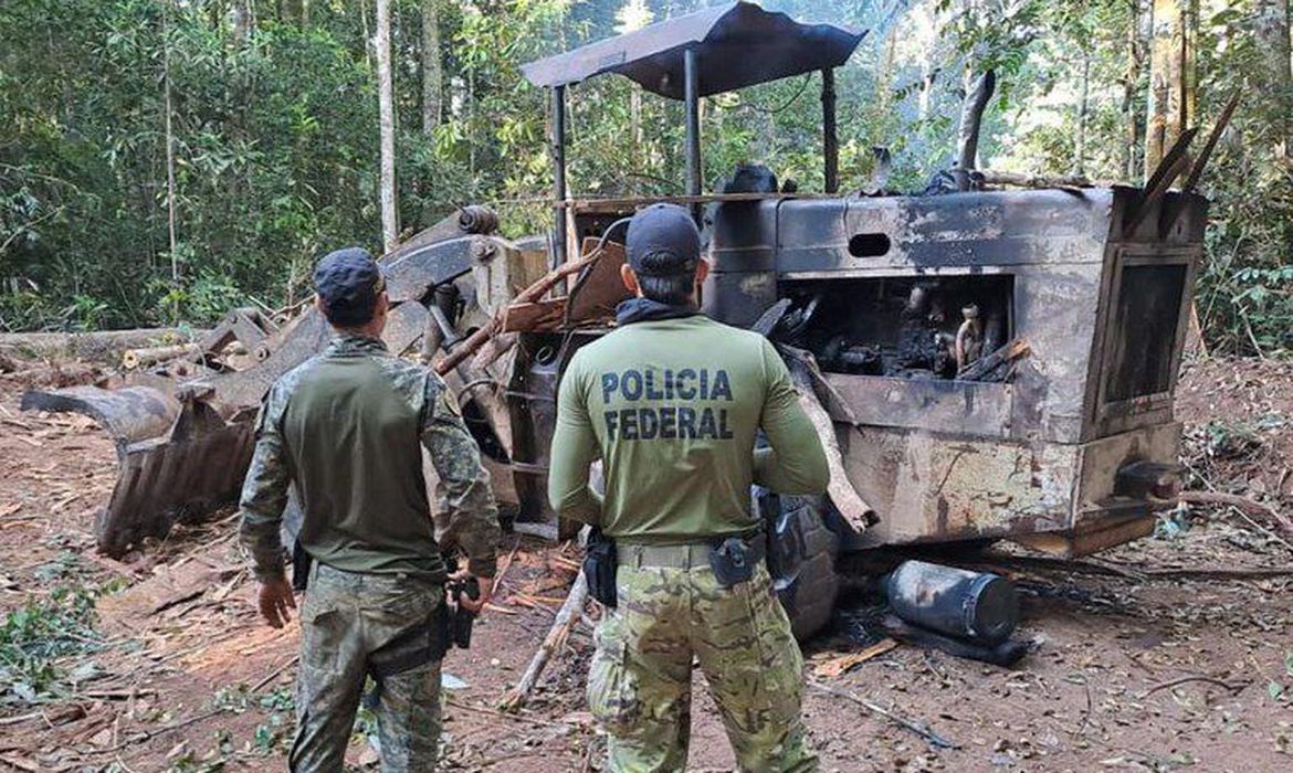  (Foto: Polcia Federal / Divulgao)