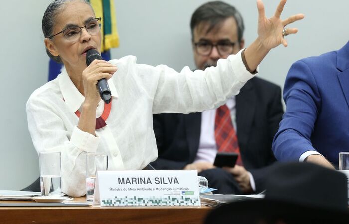 Nosso tempo para agir está se esgotando", diz Marina Silva | Brasil: Diario  de Pernambuco