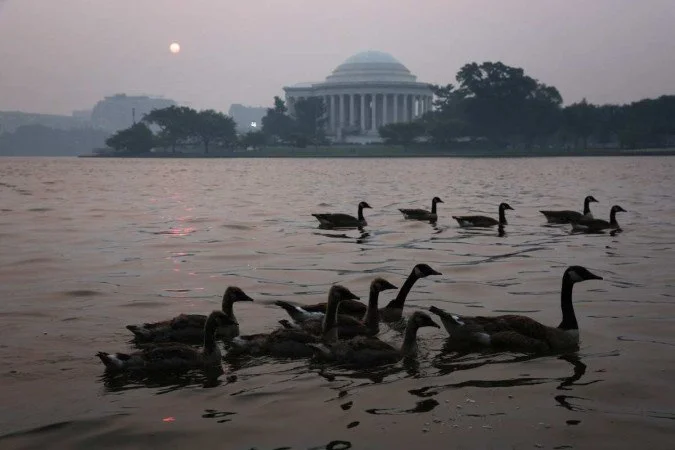  (Foto: Alex Wong/Getty Images via AFP)