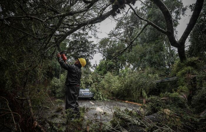  (Foto: Prefeitura POA)