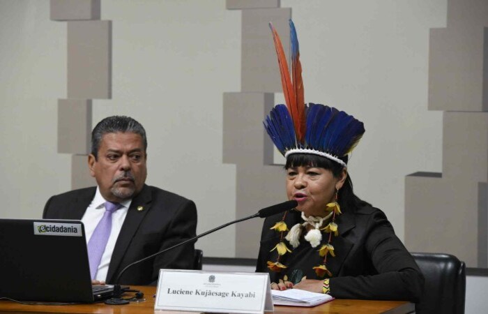 Luciene Kujesage Kayabi disse, em depoimento  CPI, que ONGs estrangeiras enriquecem s custas da riqueza da Amaznia. (Crdito: Roque de S/Agncia Senado)