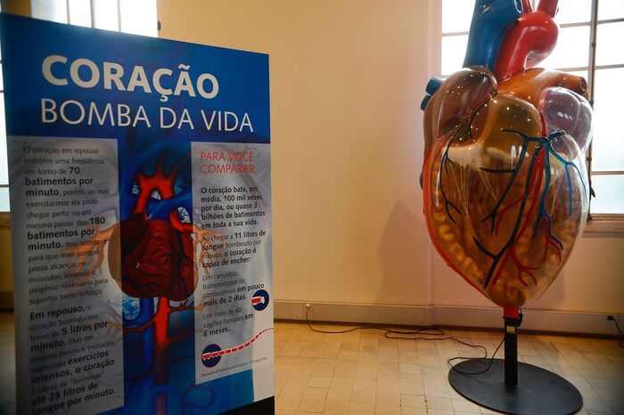 Envelhecimento e obesidade estão entre os fatores de risco (Foto: Tomaz Silva/Agência Brasil)