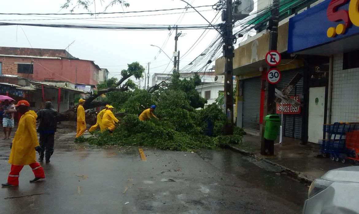  (Foto: Prefeitura do Recife/Twitter)