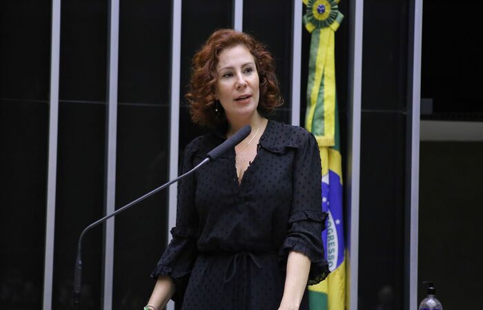 (Foto:  Michel Jesus/Cmara dos Deputados)