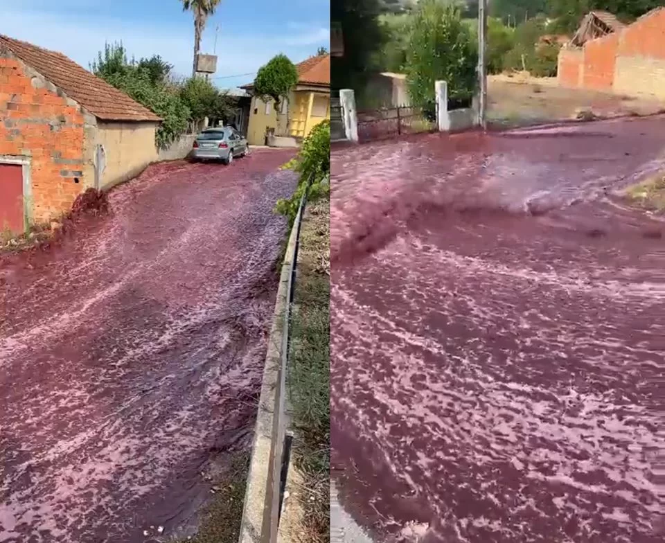 Imagens mostram milhares de litros de vinho percorrendo as ruas (foto: Reproduo/Redes sociais)