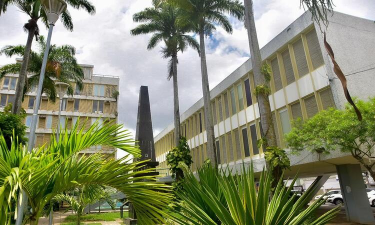 Recebero o pagamento os profissionais do magistrio que trabalharam na Educao Bsica da Rede Municipal de Ensino, como estatutrio, celetista ou temporrio, em efetivo exerccio das funes na rede pblica no perodo em que ocorreram os repasses a menos do Fundef. (Foto: Divulgao)