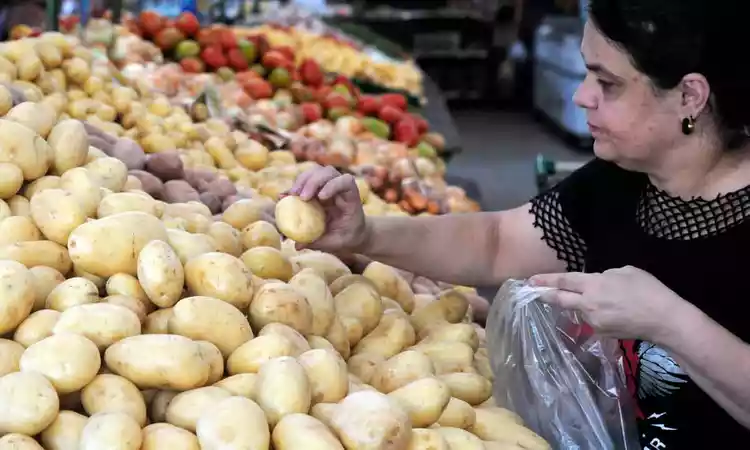 A comerciante Elaine Avila fez compras ontem em um sacolo e disse ter percebido a reduo no valor das batatas, mas o mesmo no observou em relao ao preo dos tomates
 (foto: Tlio Santos/EM/D.A Press)