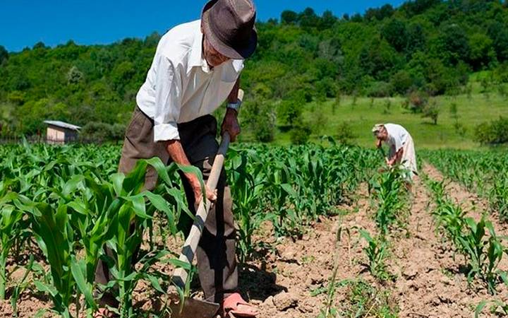 Dados apontam que idade  um fator determinante sobre a negativao no campo (foto: Reproduo/Contag )