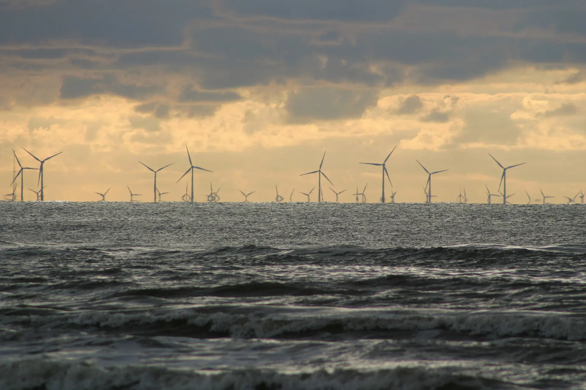 Pedido de licenciamento ambiental foi feito junto ao Ibama (foto: David Will/Pixabay )