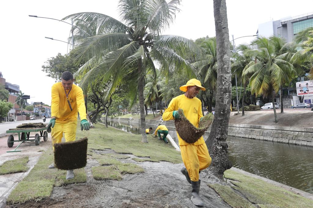 Entre as intervenes da gesto no principal corredor virio da cidade, esto sendo plantados 7,6 mil m de grama e rvores adultas com florao (Divulgao/Hlia Scheppa (PCR))