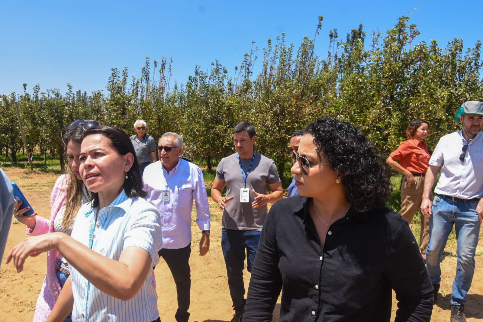 llen Vigas, secretria de Desenvolvimento Agrrio, Agricultura, Pecuria e Pesca (Fotos: Edilson Jnior/SDA)