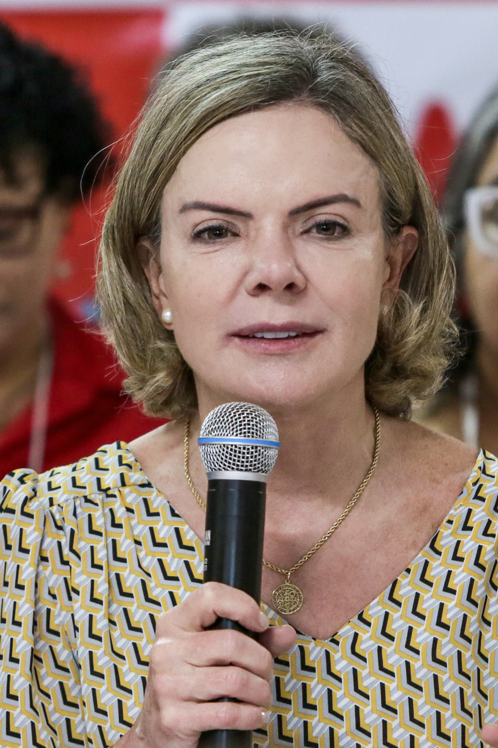 Gleisi Hoffmann disse que pretende esclarecer alguns pontos com o ministro Alexandre de Moraes (Foto: Rafael Vieira/DP)