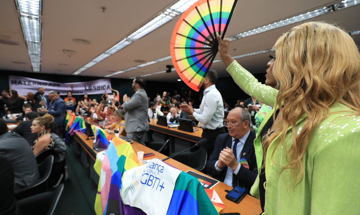 Em 2011, o Supremo Tribunal Federal (STF) equiparou as relaes entre pessoas do mesmo sexo s unies estveis entre homens e mulheres, reconhecendo a unio homoafetiva como ncleo familiar (Foto: Lula Marques/Agncia Brasil)
