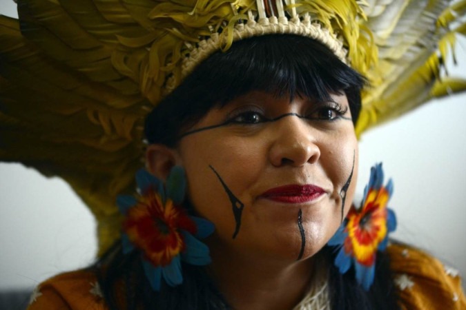 O texto, apresentado pela deputada Clia Xakriab (Psol-MG), foi traduzido para a lnguas Guarani-Kaiow e Akwen  (foto: Marcelo Ferreira/CB/D.A.Press)