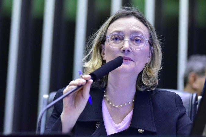 A deputada petista afirmou ainda que h muito tempo luta contra Bolsonaro (foto: Zeca Ribeiro/Cmara dos Deputados )