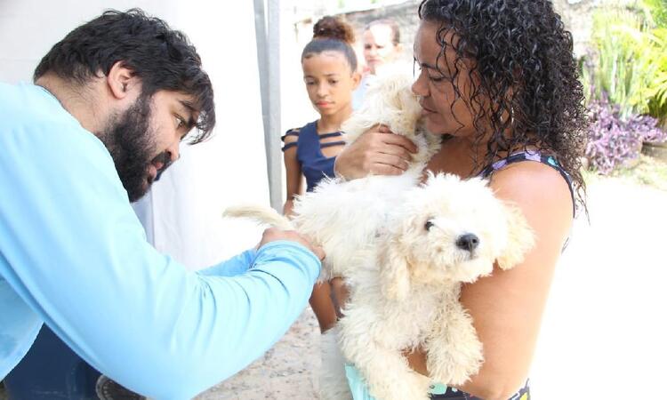A pr-campanha contra a raiva animal ser realizada a partir de quinta (5), em Paulista, no Grande Recife (Foto: Divulgao/Prefeitura de Paulista)