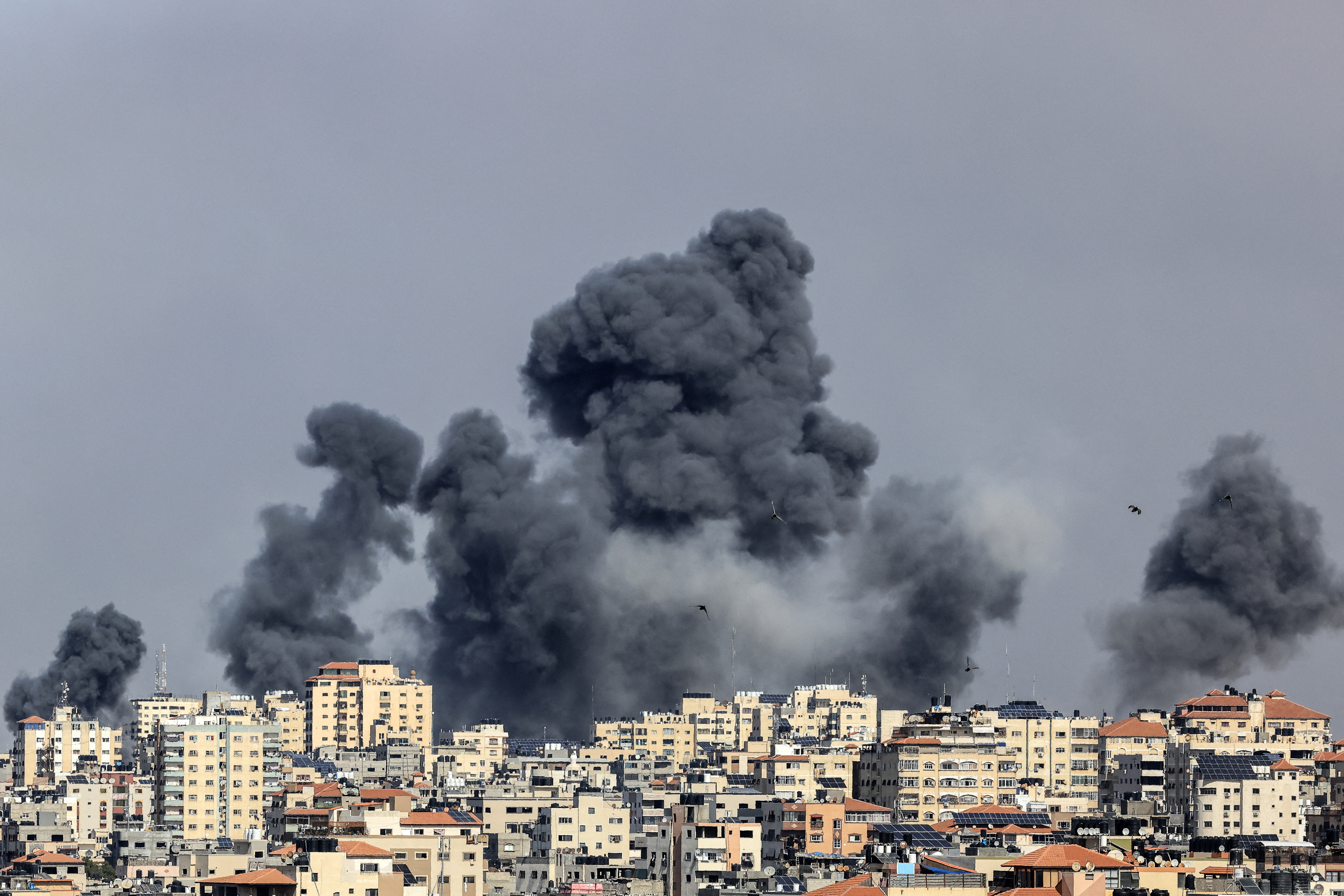 Parem', diz papa sobre o conflito entre Hamas e Israel, Mundo