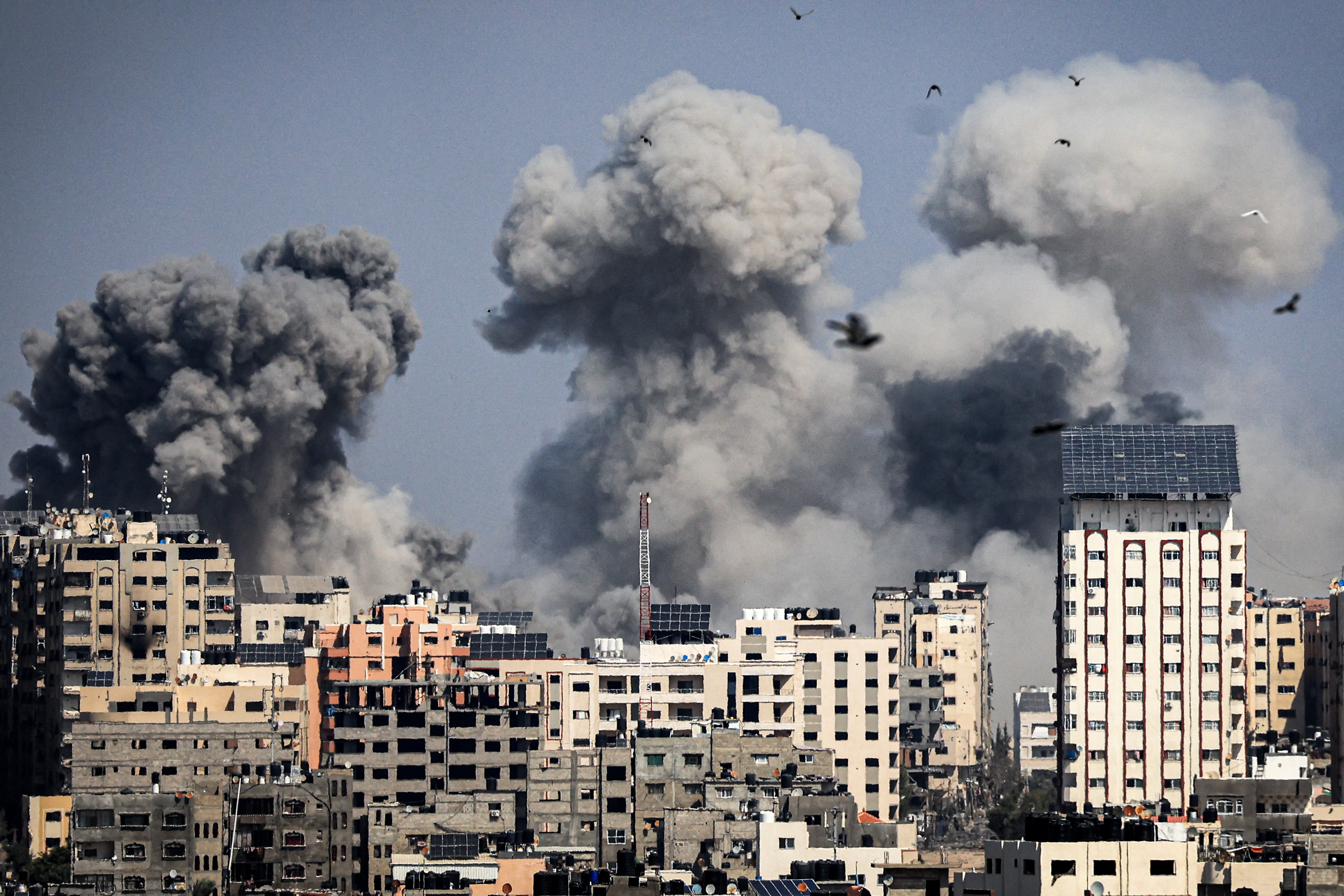 Bombardeio israelense em Gaza (MAHMUD HAMS / AFP
) Bombardeio israelense em Gaza (MAHMUD HAMS / AFP
)